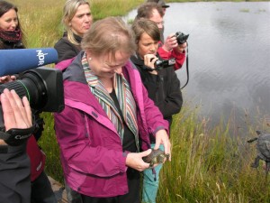 Staatssekretärin Almut Kottwitz bringt die erste Sumpfschildkröte an das Steinhuder Meer zurück.